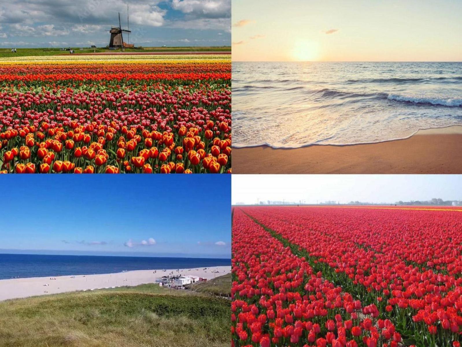 Wijde Blick คัลลันท์สโอก ภายนอก รูปภาพ